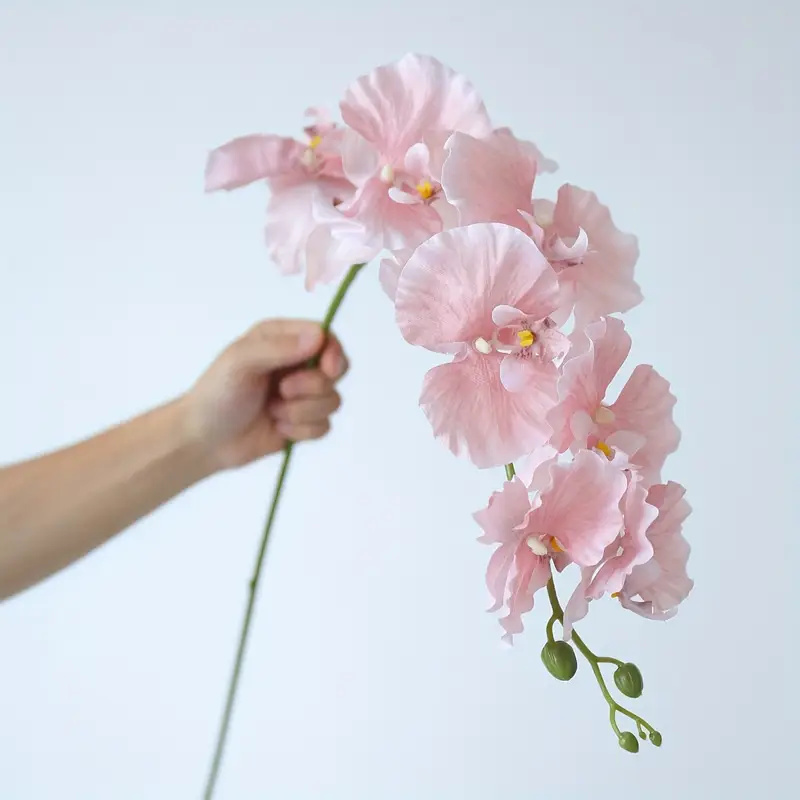 Long Branch Butterfly Orchids  - Christmas Wreath Fake recensione e prezzo