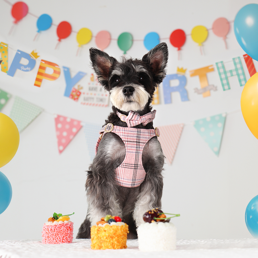 3pcs/set Dog Collar Harness le - Christmas Throw Blanket recensione e prezzo