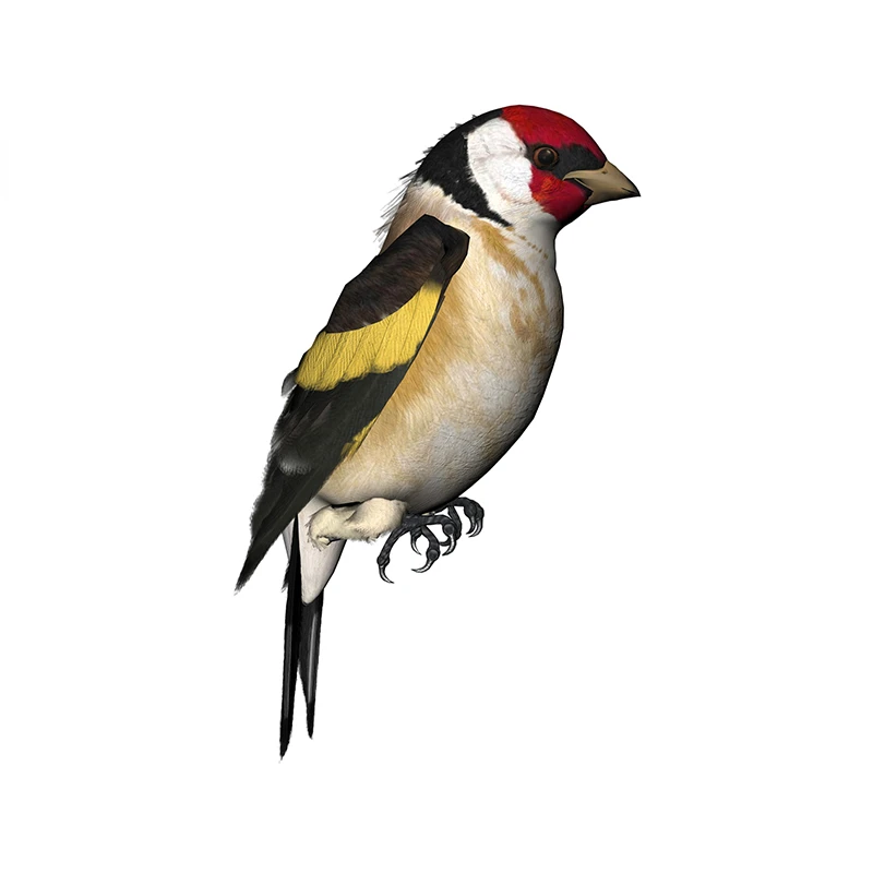 New Design for Tinsel Finches  - Tinsel Garland Decoration recensione e prezzo
